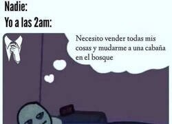 Enlace a Pensamientos furtivos