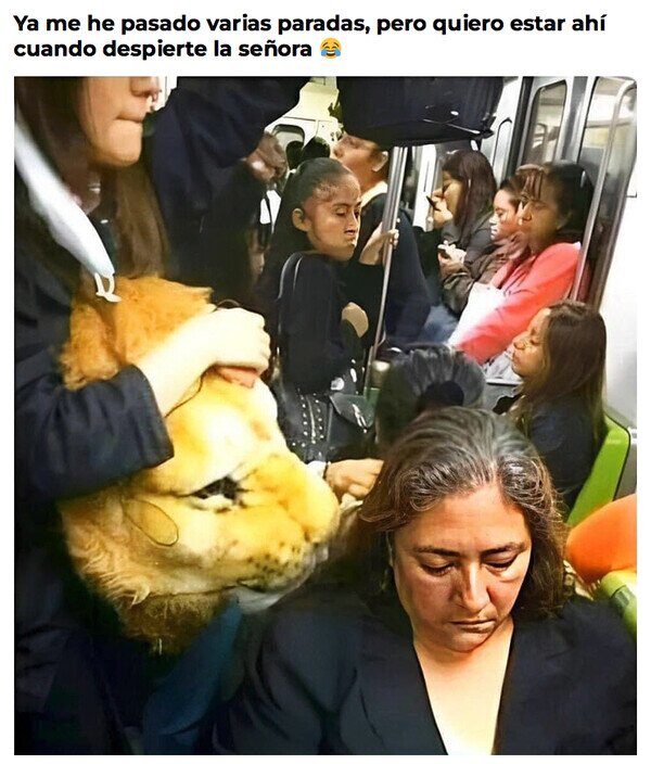 Meme_otros - Quiero estar ahí cuando suceda