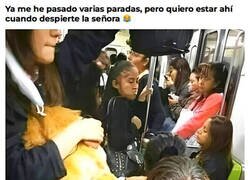 Enlace a Quiero estar ahí cuando suceda