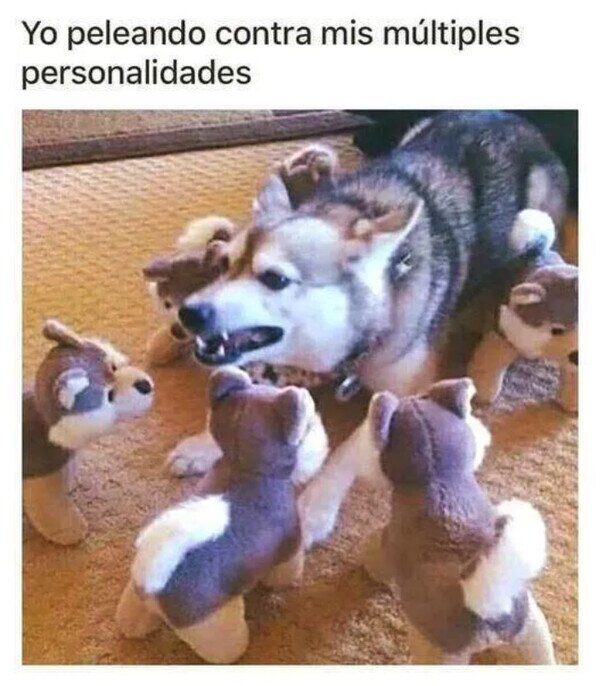 Meme_otros - No nos llevamos bien