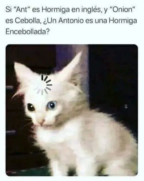 Meme_otros - No volveré a escuchar ese nombre de la misma manera