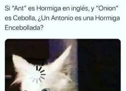 Enlace a No volveré a escuchar ese nombre de la misma manera