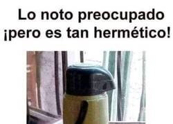 Enlace a El termo preocupado