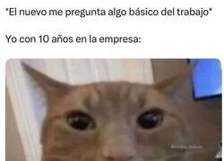 Enlace a No resuelvo problemas