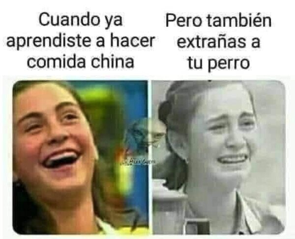 Otros - Todo no se puede tener