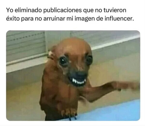 Otros - La vida del influencer de éxito