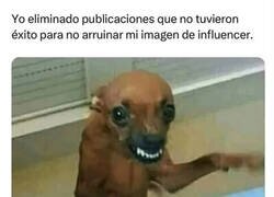 Enlace a La vida del influencer de éxito