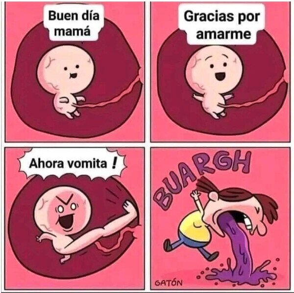 Meme_otros - Con amor desde el útero