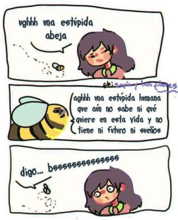 Meme_otros - ¿Qué pensarán las abejas de nosotros?