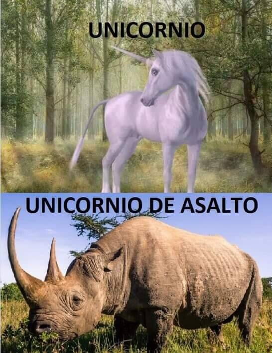 Meme_otros - Yo les llamo así