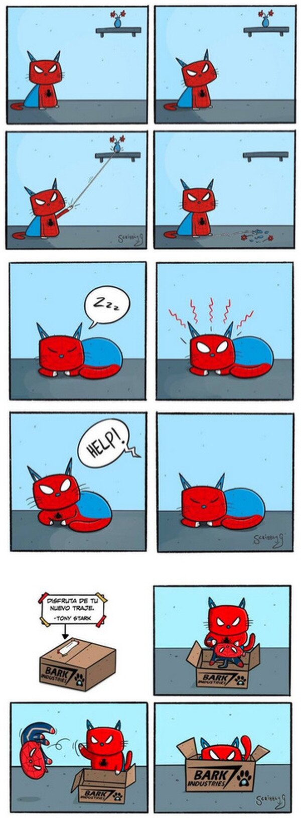 Meme_otros - Las aventuras de SpiderCat