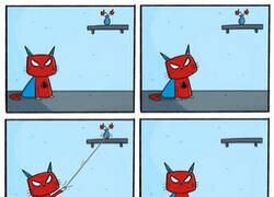 Enlace a Las aventuras de SpiderCat