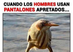 Enlace a Se ven más o menos así