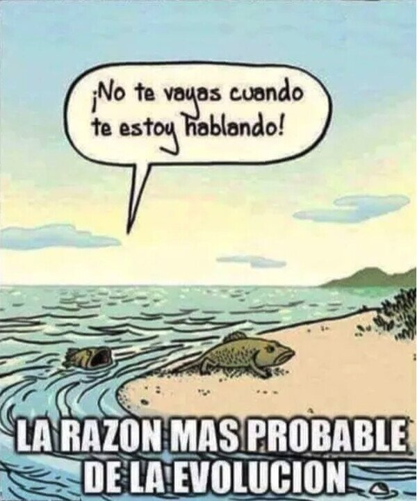 Meme_otros - Había que salir ahí fuera