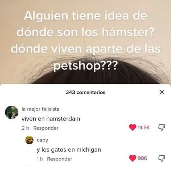 Otros - ¿De dónde vienen los hámsters?