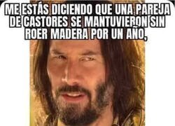 Enlace a Dudas sobre el Arca de Noé