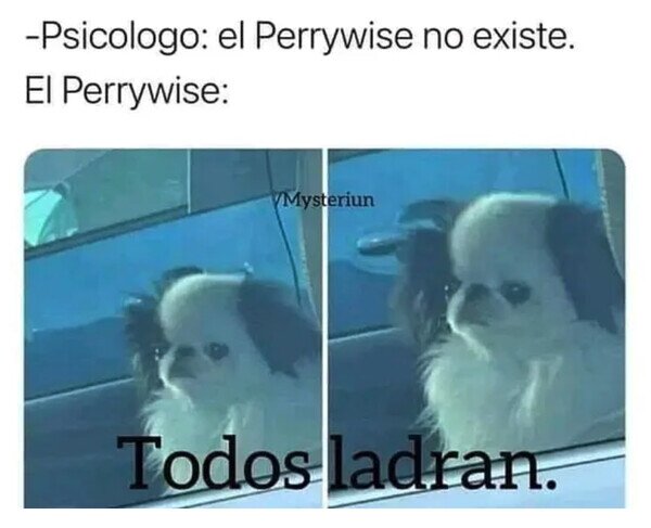 Meme_otros - El Perrywise