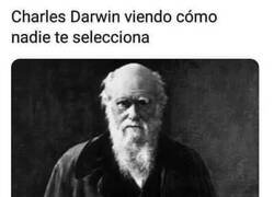 Enlace a Su teoría falló contigo