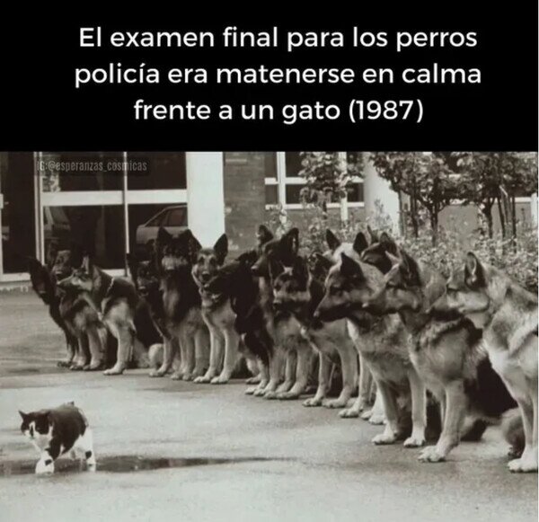 Otros - La prueba definitiva