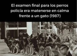 Enlace a La prueba definitiva