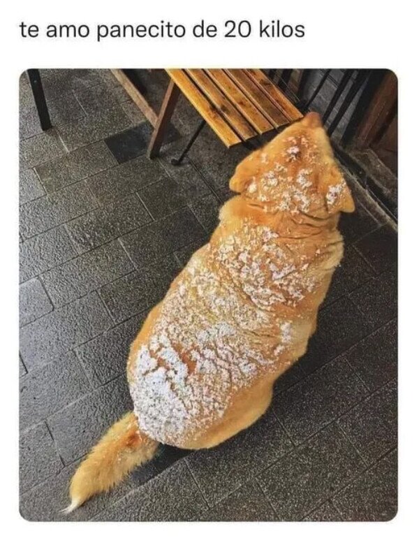 Meme_otros - Me lo como