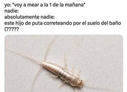 Enlace a ¿Qué sois y de dónde salís?