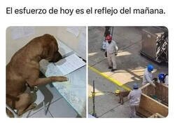 Enlace a Estudiando por un futuro mejor