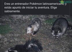 Enlace a ¡Zarigüey, te elijo a ti!