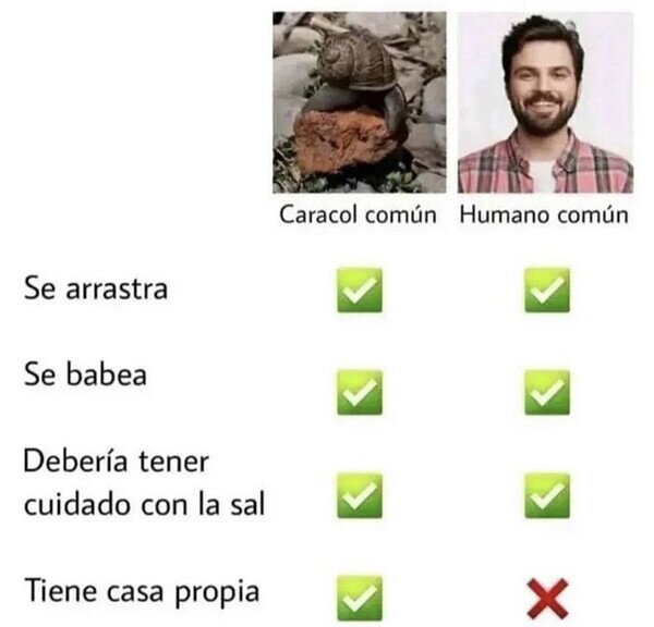 Meme_otros - No somos más que los caracoles