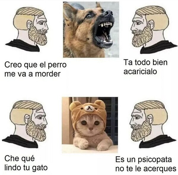 Meme_otros - Cuidado con las mascotas