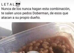 Enlace a Fabada Doberman