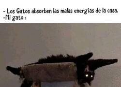 Enlace a Es el demonio