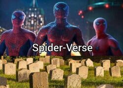 Enlace a Palma en todos los universos