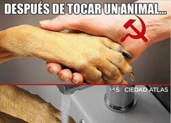 Enlace a Cuida tu higiene