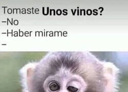 Enlace a Bueno un poco sí
