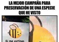 Enlace a Si me lo dice con esa carita...