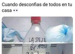 Enlace a La marca de la verdad