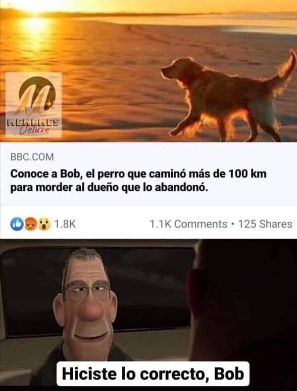 Meme_otros - Bien hecho, Bob