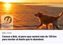 Enlace a Bien hecho, Bob
