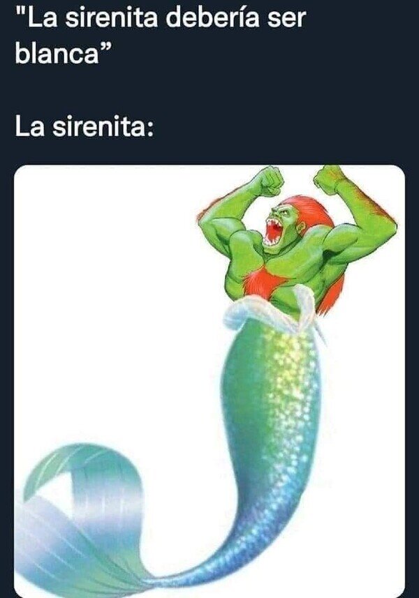 Meme_otros - Así serían si existieran