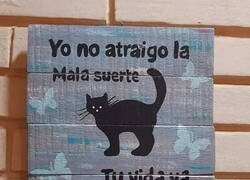 Enlace a El gato negro sobrado de razón