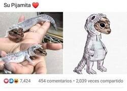 Enlace a ¿Qué cómo se lo pusieron?