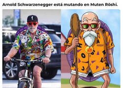 Enlace a Y esa mutación mola