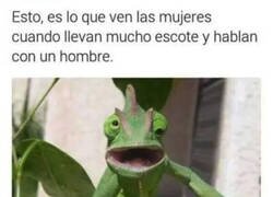 Enlace a Ojos bailongos