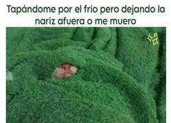 Enlace a Ya lo echo de menos