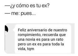 Enlace a Que no sea por no celebrar