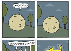 Enlace a En un absurdo mundo paralelo