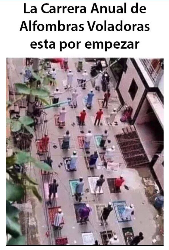 alfombra,voladoras,carrera