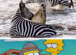 Enlace a La naturaleza te puede sorprender