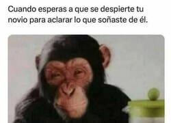 Enlace a Alguien le debe una explicación...